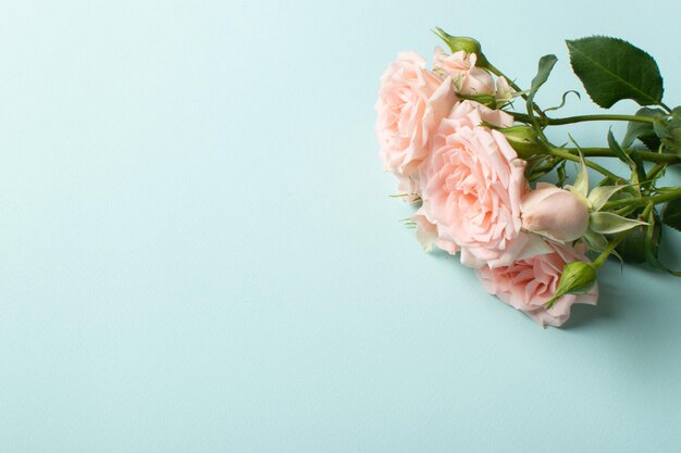Foto buquê de rosas sobre um fundo azul claro um convite para o dia dos namorados
