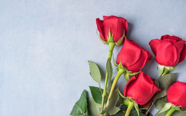 Buquê de rosas vermelhas, deitado sobre um fundo azul