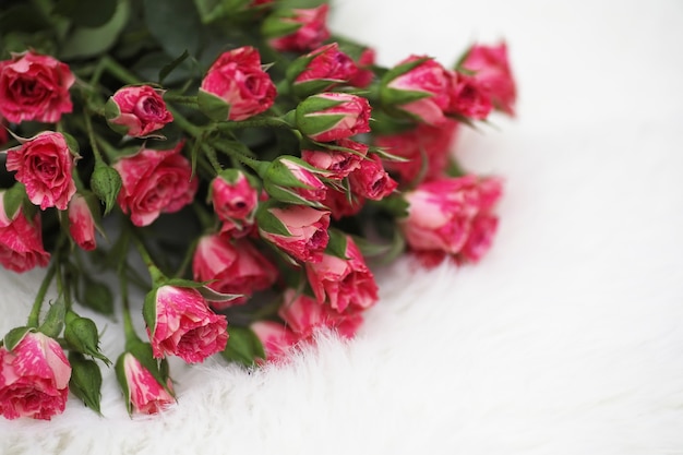 Buquê de rosas vermelhas em um fundo branco