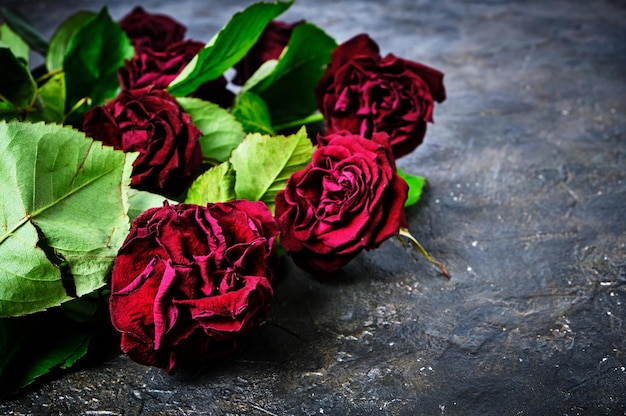 Buquê de rosas vermelhas murchas é jogado no chão sujo.