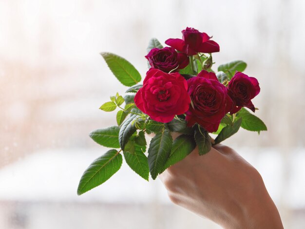 Buquê de rosas vermelhas na mão contra a janela. Fechar-se.