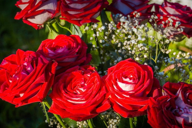 Buquê de rosas vermelhas