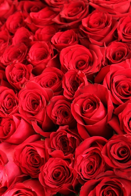 buquê de rosas