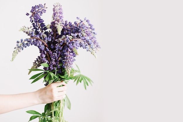 Buquê de tremoços roxos nas mãos das mulheres na superfície branca. Conceito mínimo do florista