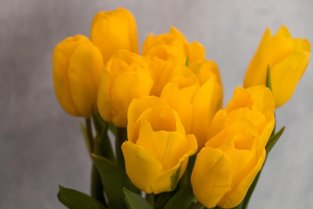 buquê de tulipas amarelas em um vaso de vidro em um fundo azul