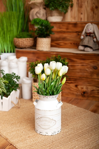 Buquê de tulipas brancas flores em uma cesta. interior do quintal de primavera. Terraço rústico. Closeup de vasos de flores com plantas. plantas jovens que crescem no jardim. Decoração de primavera, tulipas em uma cesta. Páscoa