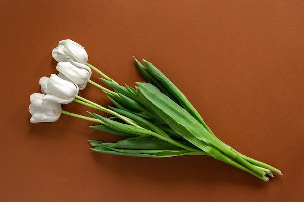 Buquê de tulipas brancas frescas flatlay na parede marrom Lugar de texto, copyspace.
