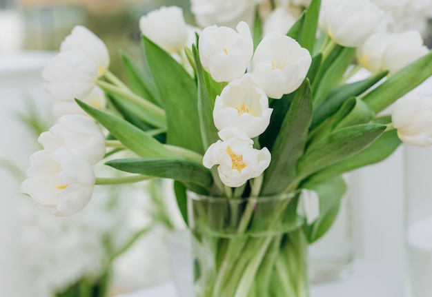 Buquê de tulipas brancas vaso de vidro primavera