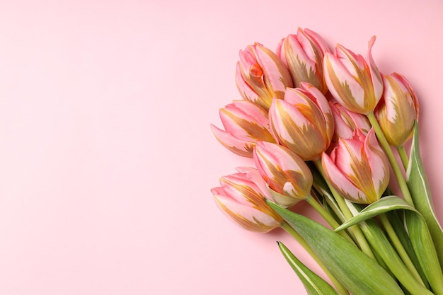 Buquê de tulipas cor de rosa em fundo rosa