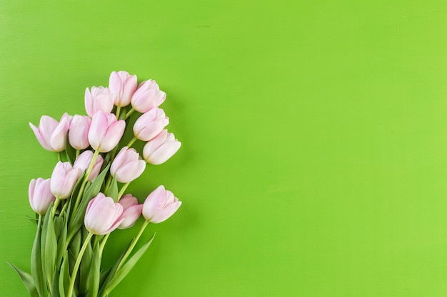 Buquê de tulipas cor de rosa sobre um fundo verde.