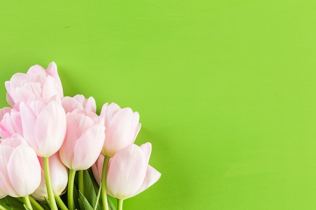 Buquê de tulipas cor de rosa sobre um fundo verde.