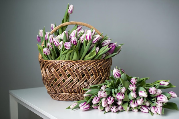 Buquê de tulipas de peônia vermelha e branca em uma cesta de madeira Variedades iniciais de tulipas