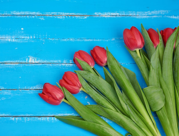 Buquê de tulipas florescendo vermelhas com caules e folhas verdes