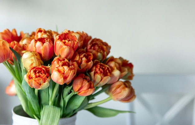 Buquê de tulipas laranja em um vaso em um fundo de luz turva