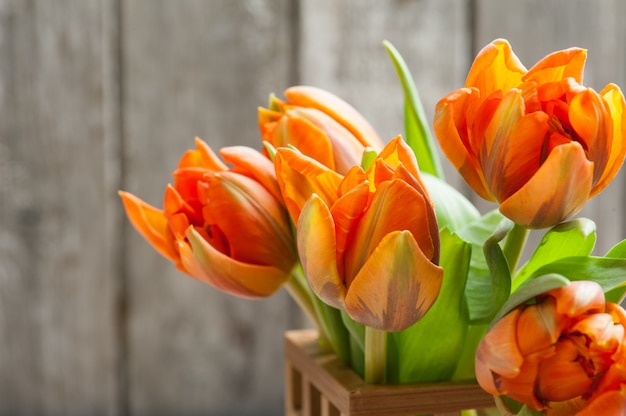 Buquê de tulipas laranja
