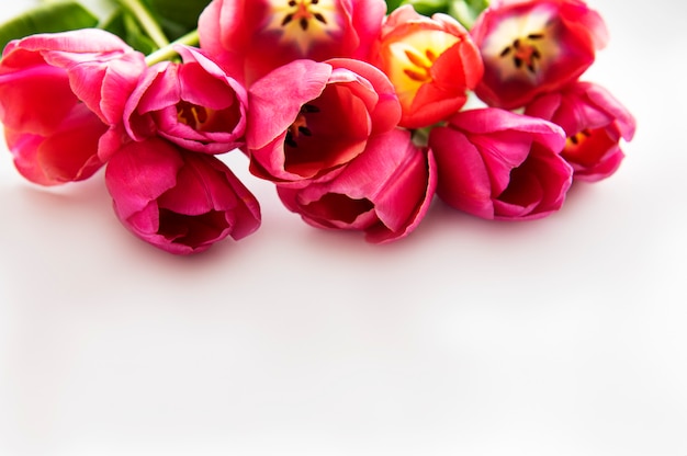 Buquê de tulipas lindas em um fundo branco