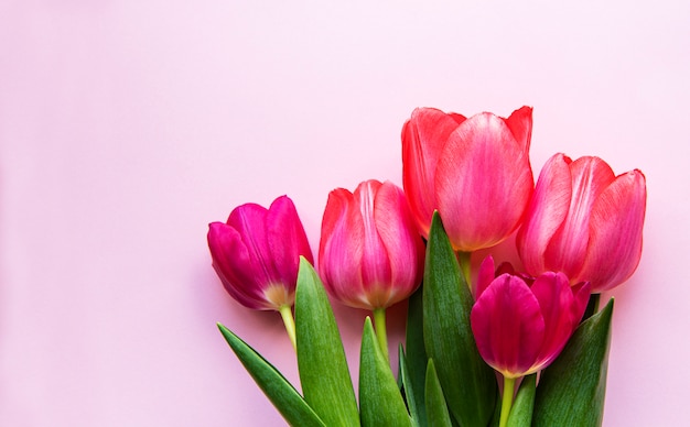Buquê de tulipas lindas