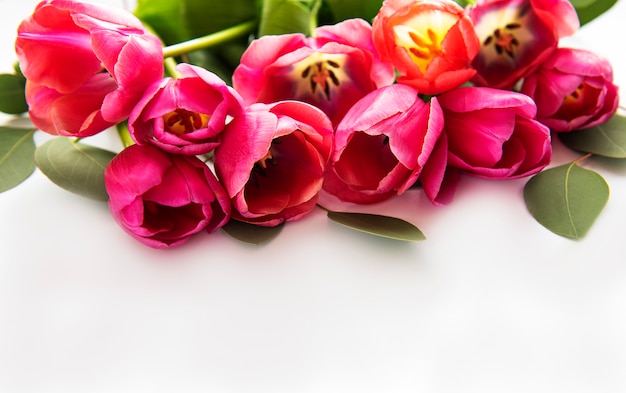 Buquê de tulipas lindas