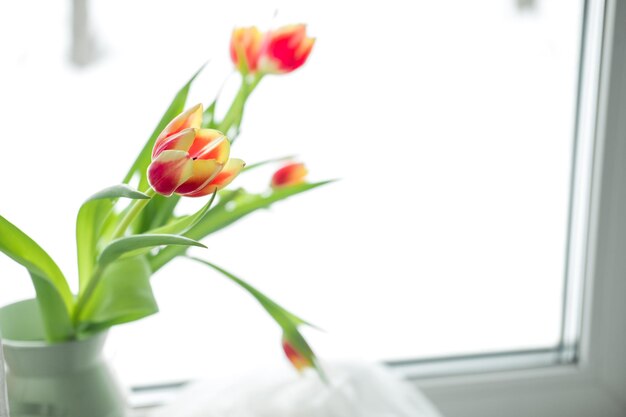 Buquê de tulipas no parapeito da janela em um fundo branco
