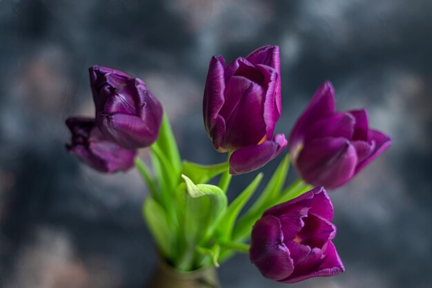 Buquê de tulipas para o feriado Dia da mulher Dia dos namorados Dia do nome Em um fundo escuro com reflexo