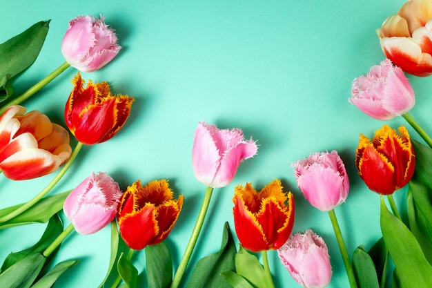 Buquê de tulipas Primavera flores sobre fundo de cor festiva