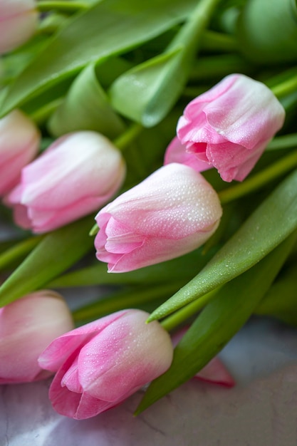 Buquê de tulipas. Tulipas cor de rosa com gotas de orvalho. Delicado buquê de flores.