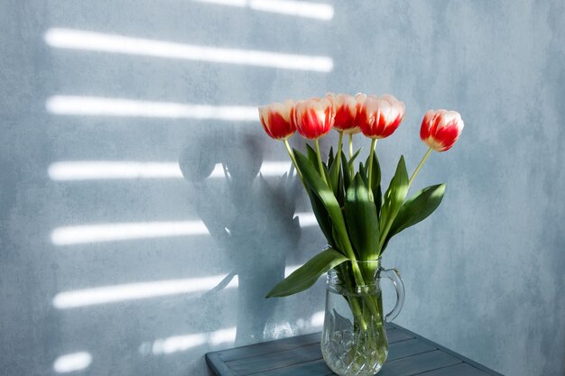 buquê de tulipas vermelhas e brancas em um jarro de vidro sobre um fundo azul com raios de sol