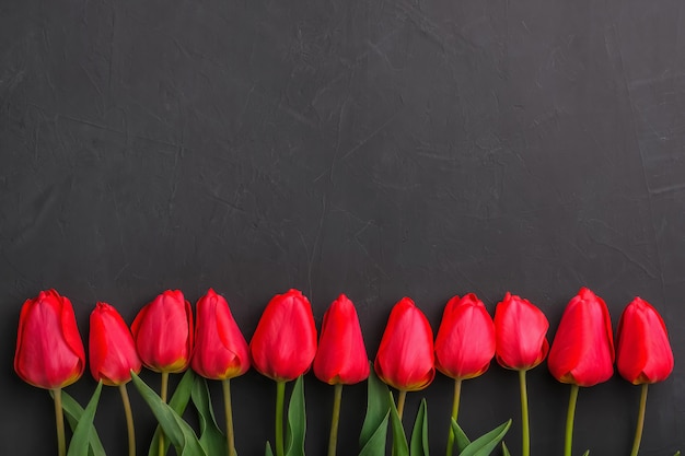 Buquê de tulipas vermelhas na linha com espaço de cópia para o texto.