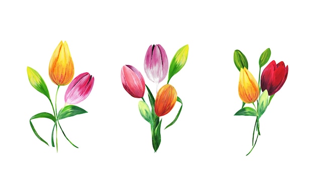 Buquê desenhado à mão de flores coloridas Composição em aquarela