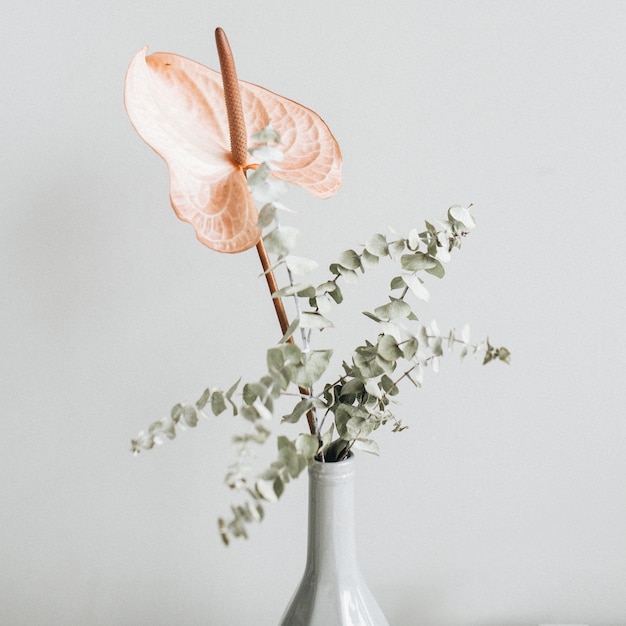 Buquê floral de ramo rosa de flor de antúrio e eucalipto na parede pastel.