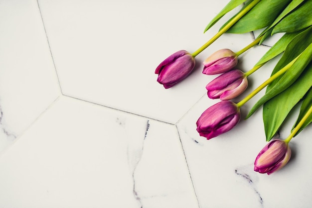 Buquê fresco de cinco tulipas isoladas em fundo branco Flores da primavera Espaço para o seu texto Foto de alta qualidade