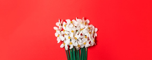 Buquê fresco de flores de flores de narciso na primavera