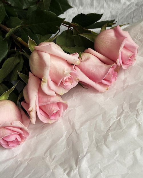 Buquê fresco de rosas cor de rosa em um fundo branco com folhas