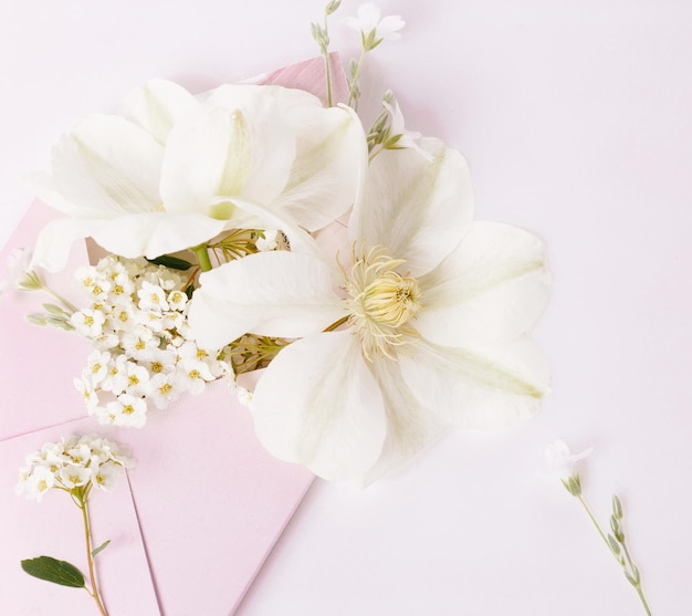 Buquê romântico de flores de clematis brancas em um envelope rosa, vista de perto. Vista superior, postura plana. Copie o espaço. Aniversário, mães, dia dos namorados, conceito de dia do casamento.