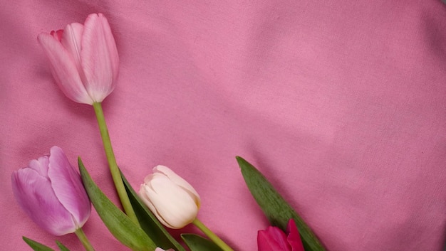 Buquê romântico de flores de tulipas cor-de-rosa em março dia internacional da mulher dia das mães com espaço de cópia