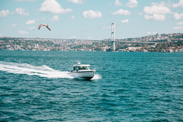 Buques de carga seca en el agua en Turquía