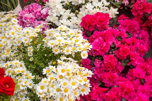 Buquês de flores no mercado de flores da Turquia/Izmir