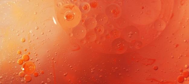 Burbujas de aceite de oro y rojo cierran círculos de agua naranja y rosa macro abstracto fondo brillante