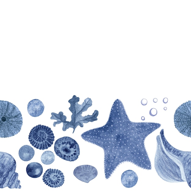 Las burbujas de algas de las estrellas de mar concha azul acuarela monocromática borde sin costuras aislado en blanco