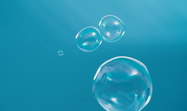 Las burbujas de champú flotan como si vuelan en el aire por el viento que representan un refrescante y divertido