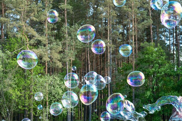 Burbujas en el cielo