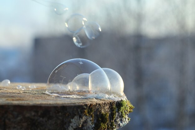 Las burbujas de jabón se congelan con el frío. El agua jabonosa de invierno se congela en el aire.