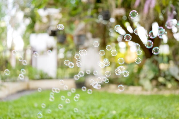 Burbujas de jabón flotando en el jardín Fondo de verano