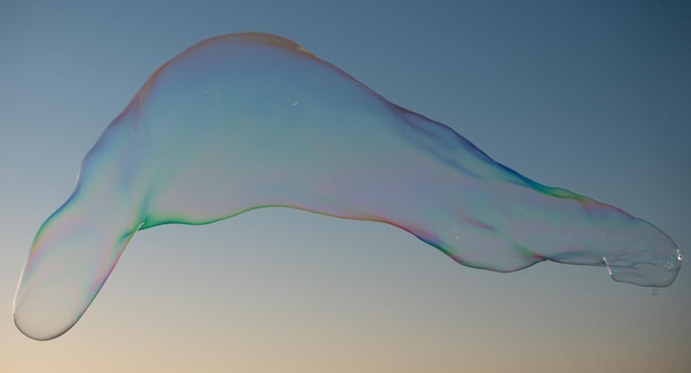 Burbujas de jabón con reflejo de arco iris Buble en el cielo azul Fiesta de burbujas