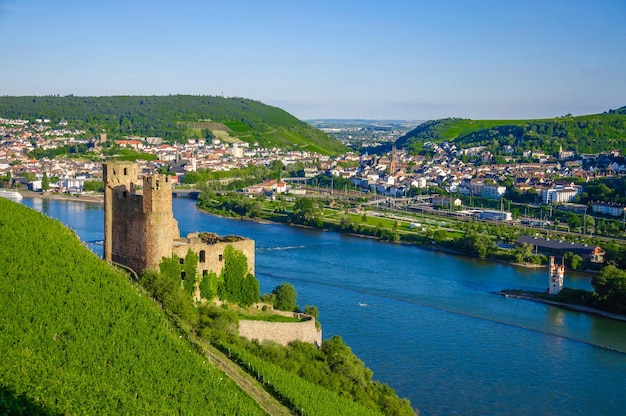 Burg Ehrenfels am Rhein bei Rüdesheim