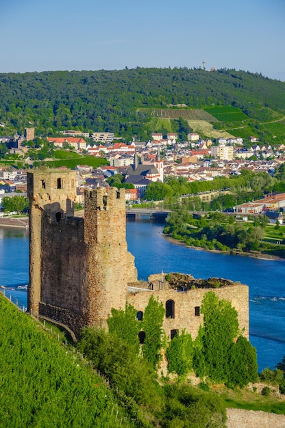 Burg Ehrenfels am Rhein bei Rüdesheim