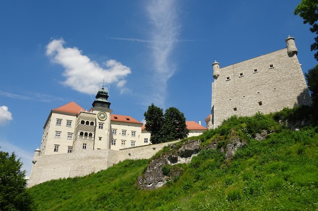 Burg Pieskowa Skala in Polen