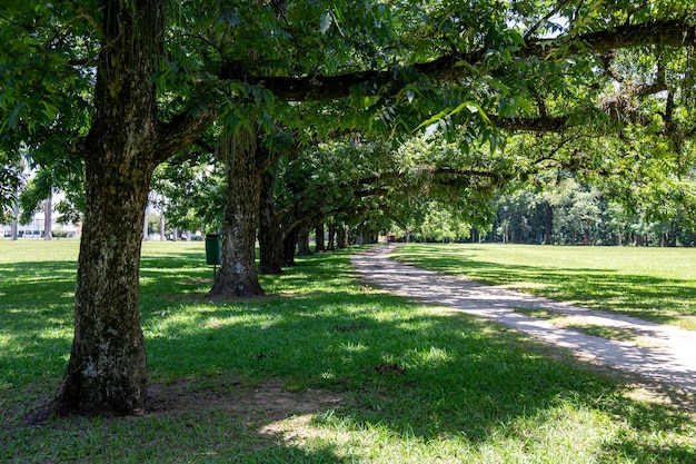 Burle Marx Park Stadtpark in Sao Jose dos Campos Brasilien Großer Park in der Stadt