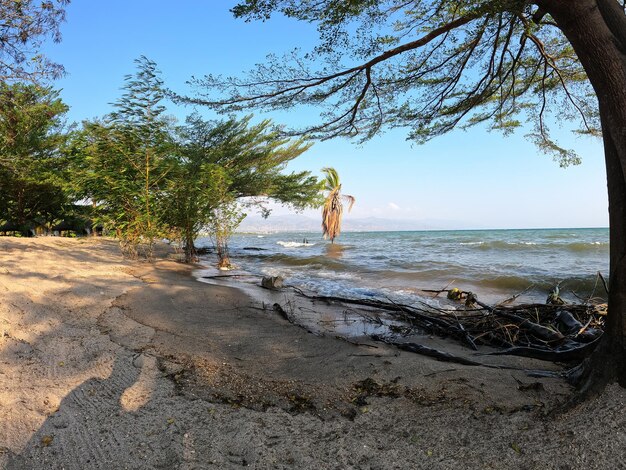 Foto burundi bujumbura lago tanganica