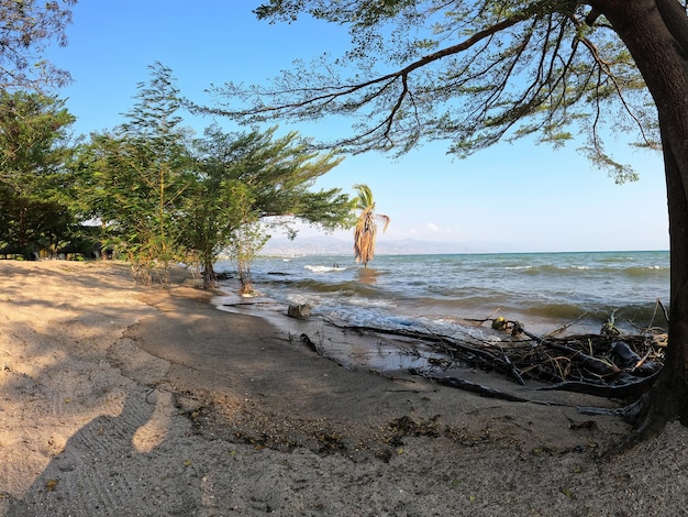 Foto burundi bujumbura tanganjikasee